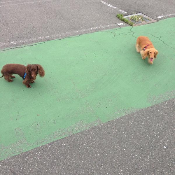 Photo taken at イオン 豊桥南店 by やまやん on 7/12/2014