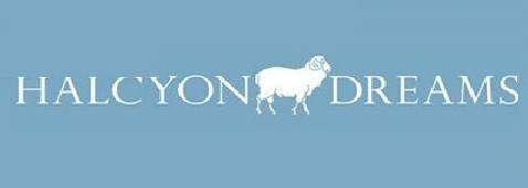 返回Halcyon Dreams门店详情页面 图片Halcyon Dreams新南威尔士总部塞斯诺克店