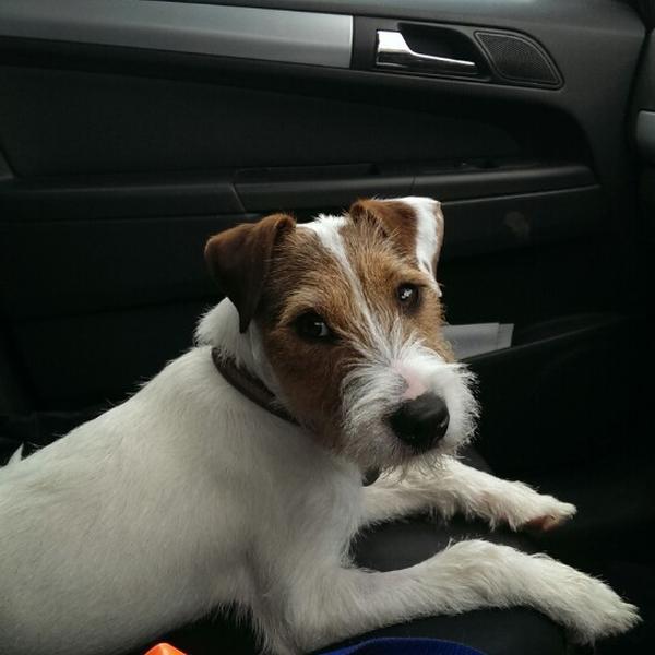 Photo taken at Waitrose by Peter H. on 4/27/2014