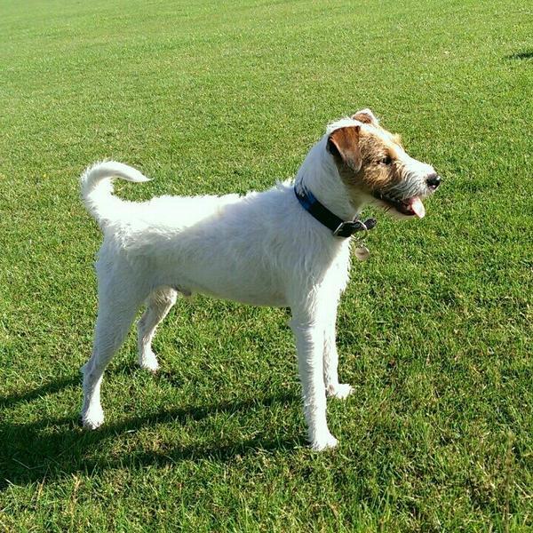 Photo taken at Waitrose by Peter H. on 9/3/2014