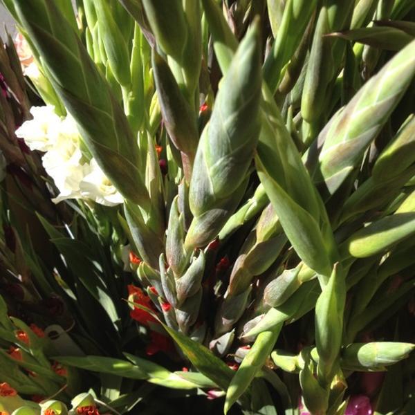 Photo taken at Trader Joe's by Chelsea B. on 8/26/2012