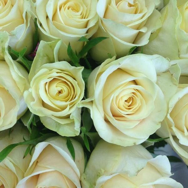 Photo taken at Trader Joe's by Gary M. on 1/23/2013