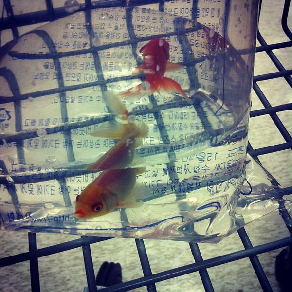 Photo taken at 이마트 (emart) by Na-lee K. on 10/23/2011-全罗南道木浦市玉岩138易买得超市 Photo taken at 이마트 (emart) by Na-lee K. on 10/23/2011