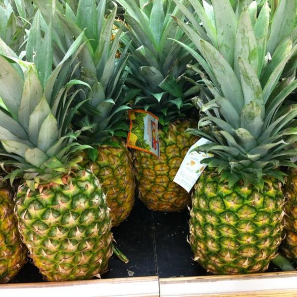 Photo taken at Trader Joe's by Giuseppe M. on 9/29/2012-内华达州拉斯维加斯市迪凯特大道2101号 Photo taken at Trader Joe's by Giuseppe M. on 9/29/2012