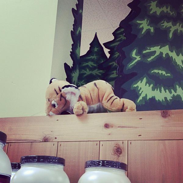 Photo taken at Trader Joe's by Hideki S. on 3/17/2015-美国华盛顿州伊瑟阔吉尔曼大道西北975 Photo taken at Trader Joe's by Hideki S. on 3/17/2015