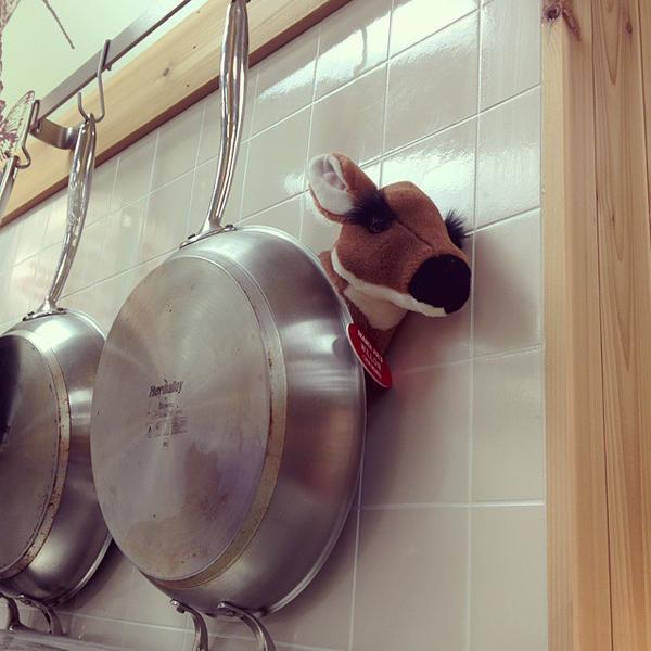 Photo taken at Trader Joe's by Hideki S. on 2/25/2015-美国华盛顿州伊瑟阔吉尔曼大道西北975 Photo taken at Trader Joe's by Hideki S. on 2/25/2015