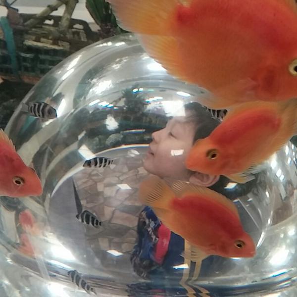 Photo taken at 홈플러스 (Home plus) by Jared B. on 1/24/2015-大邱市达西区达句伐大路1467号(城西店) Photo taken at 홈플러스 (Home plus) by Jared B. on 1/24/2015