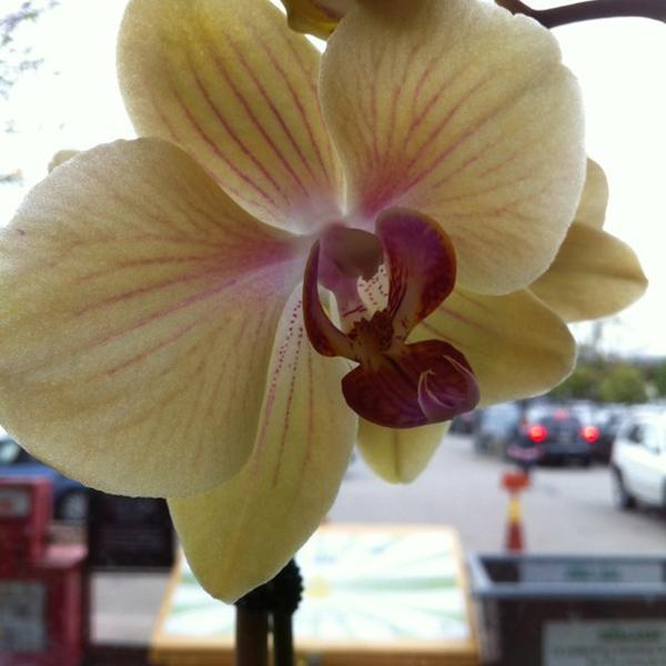 Photo taken at Whole Foods Market by John M. on 4/26/2012