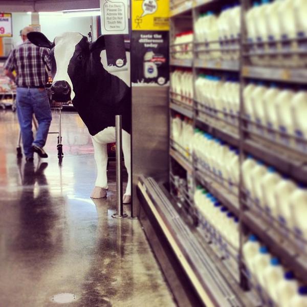 Photo taken at PAK'nSAVE by AnaStaska on 4/28/2013