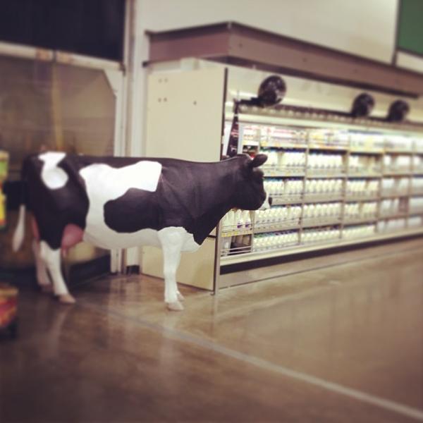 Photo taken at PAK'nSAVE by AnaStaska on 4/28/2013