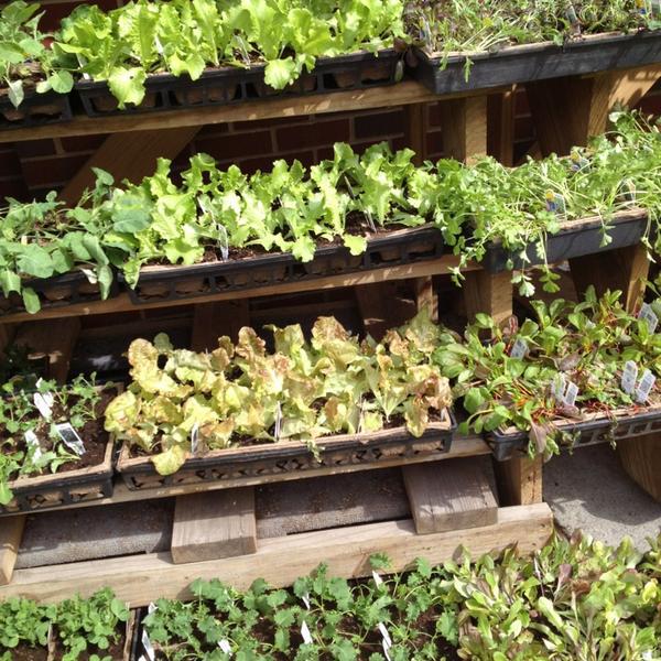 Photo taken at Whole Foods Market by Marianna H. on 3/24/2013-宾夕法尼亚州费城南方路929号 Photo taken at Whole Foods Market by Marianna H. on 3/24/2013