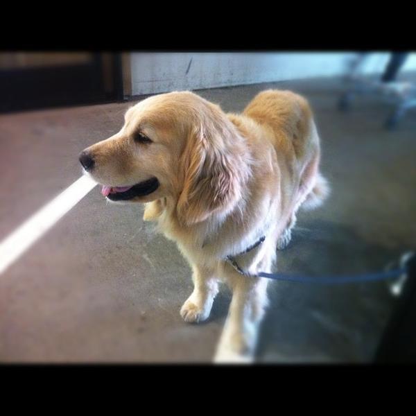 Photo taken at Trader Joe's by MENACE on 4/6/2012-美国加利福尼亚州旧金山湾街401 Photo taken at Trader Joe's by MENACE on 4/6/2012