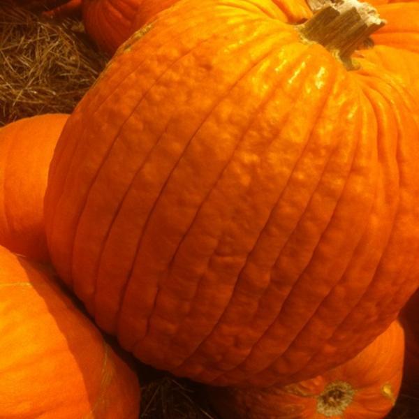 Photo taken at Whole Foods Market by Stephan E. on 11/1/2011-德克萨斯州舒格兰市西南高速路15900号 Photo taken at Whole Foods Market by Stephan E. on 11/1/2011