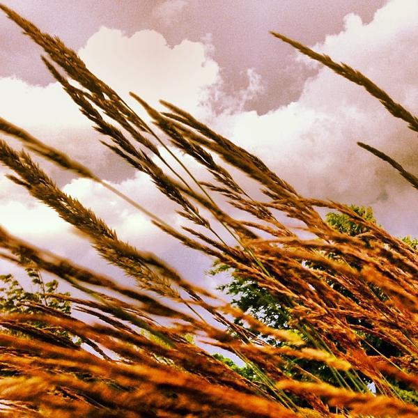 Photo taken at Whole Foods Market by Nikola R. on 6/23/2013