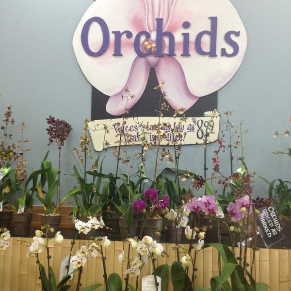 Photo taken at Trader Joe's by Manda B. on 6/3/2013-佐治亚州亚特兰大桃树路西北3183 Photo taken at Trader Joe's by Manda B. on 6/3/2013