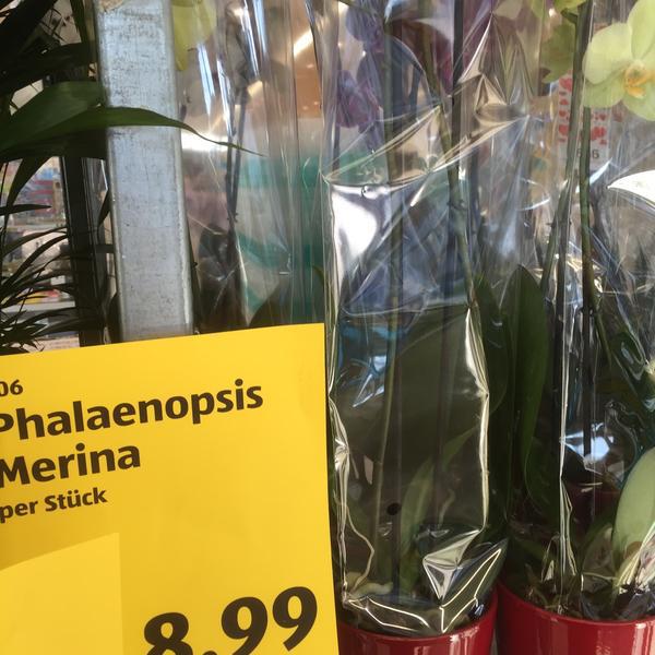 Photo taken at Hofer by Brunold L. on 2/7/2015