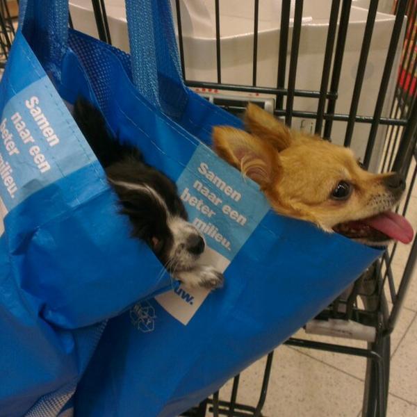 Photo taken at PLUS by Edwin V. on 5/10/2013