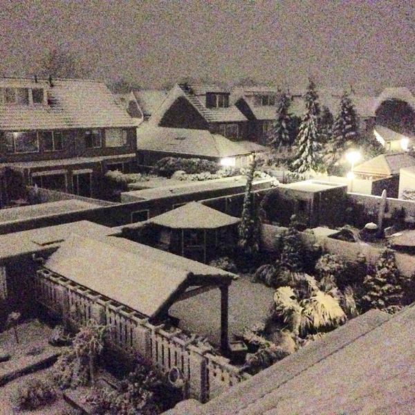 Albert Heijn图片库 Albert Heijn图片库