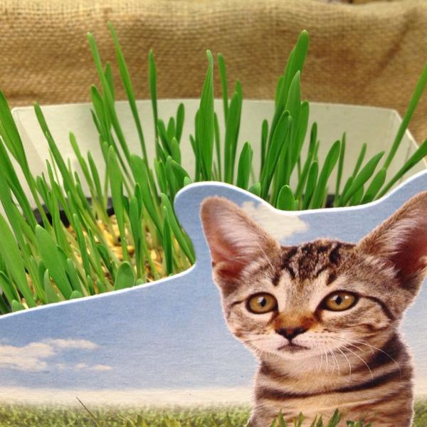 Photo taken at Coop Via Cimabue, Firenze by Enikő on 4/4/2014-意大利托斯卡纳佛罗伦萨奇马布埃路47 Photo taken at Coop Via Cimabue, Firenze by Enikő on 4/4/2014