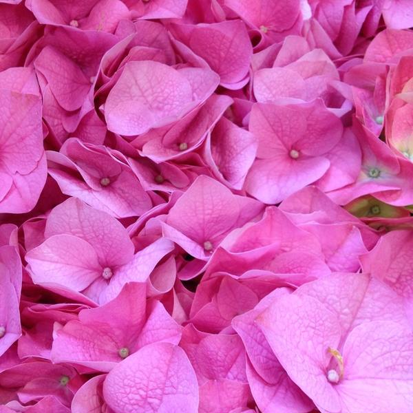 Photo taken at Coop Via Cimabue, Firenze by Enikő on 4/4/2014-意大利托斯卡纳佛罗伦萨奇马布埃路47 Photo taken at Coop Via Cimabue, Firenze by Enikő on 4/4/2014