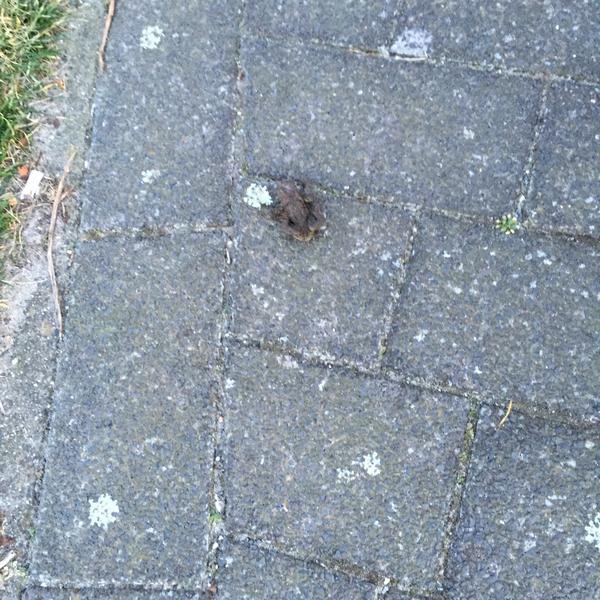 Photo taken at Albert Heijn by M B. on 3/11/2015-荷兰南荷兰省海牙西蒙霍夫街55号 Photo taken at Albert Heijn by M B. on 3/11/2015