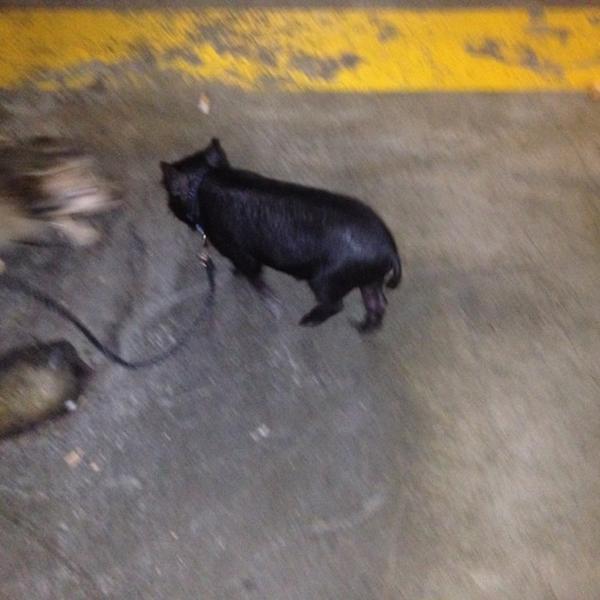 Photo taken at Woolworths by Sydney W. on 5/23/2012