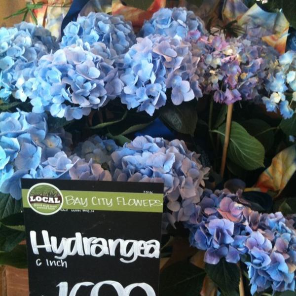 Photo taken at Whole Foods Market by Mita M. on 8/15/2011-加尼福尼亚 坎贝尔巴斯科姆大道1690(汉密尔顿大道) Photo taken at Whole Foods Market by Mita M. on 8/15/2011