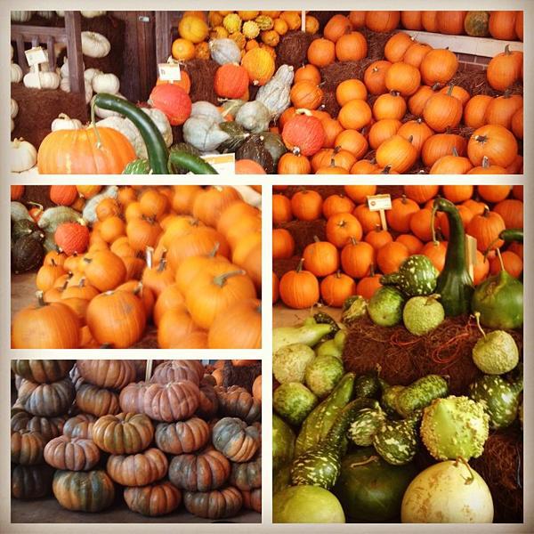 Photo taken at Whole Foods Market by Georgi S. on 9/15/2012-德克萨斯州舒格兰市西南高速路15900号 Photo taken at Whole Foods Market by Georgi S. on 9/15/2012