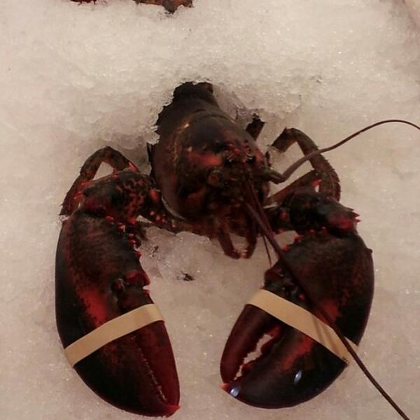 Photo taken at Wegmans by James ¤. on 11/25/2012-弗吉尼亚州弗雷德里克斯堡秋季山大道2281 Photo taken at Wegmans by James ¤. on 11/25/2012