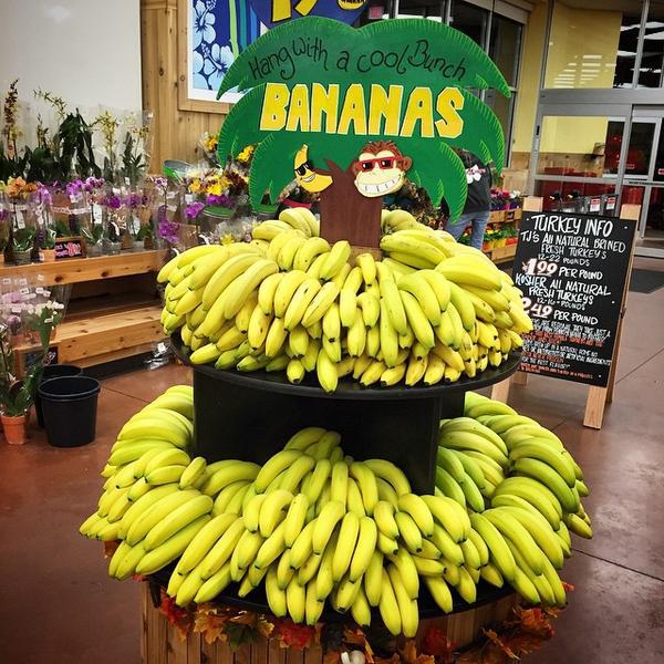 Photo taken at Trader Joe's by Elsie L. on 10/29/2014-美国纽约州水牛城尼亚加拉大瀑布大道1565 Photo taken at Trader Joe's by Elsie L. on 10/29/2014