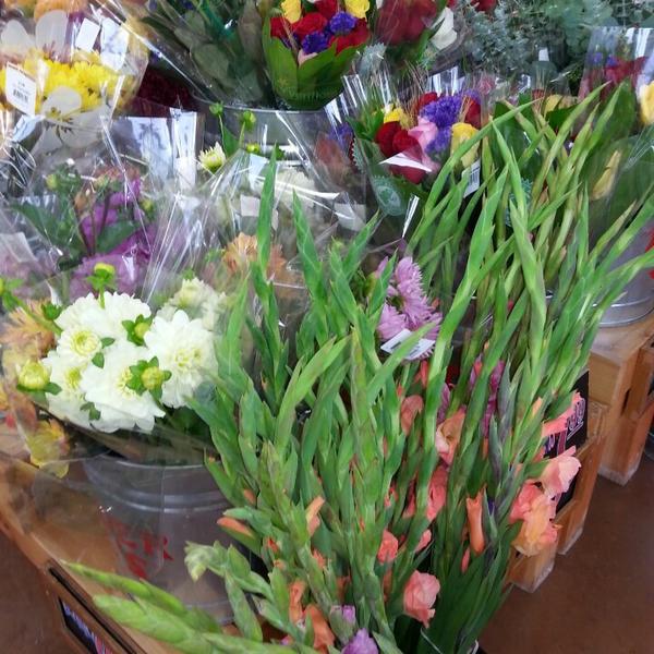 Photo taken at Trader Joe's by Astoriawinediva on 9/15/2014-美国纽约州水牛城尼亚加拉大瀑布大道1565 Photo taken at Trader Joe's by Astoriawinediva on 9/15/2014