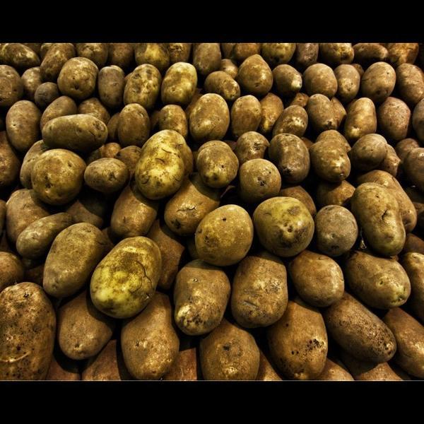 Photo taken at Whole Foods Market by Eric H. on 4/7/2012