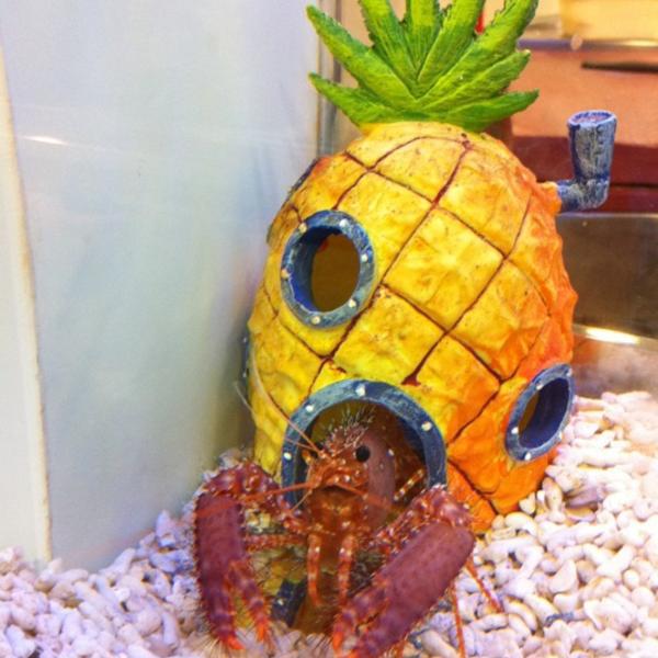 Photo taken at Mercadona (Mercado das Travesas) by Manuel G. on 3/23/2011