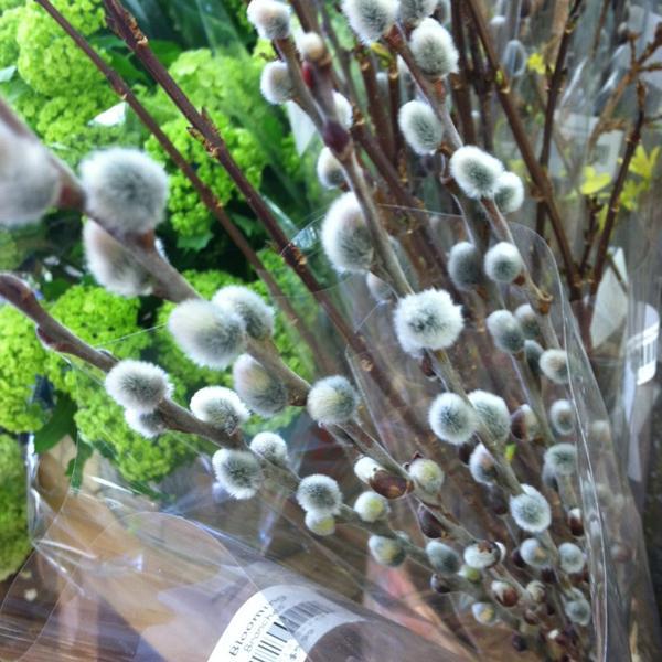 Photo taken at Trader Joe's by Sue H. on 4/7/2013