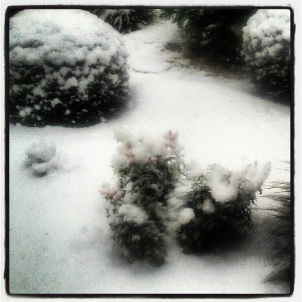 Photo taken at Edeka Zentrale Moers by Andreas F. on 12/7/2012