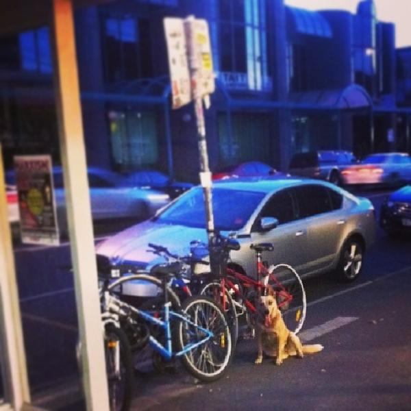 Photo taken at Coles by Johanna B. on 4/2/2014-澳大利亚维多利亚州墨尔本菲茨罗伊约翰斯顿街95-103 Photo taken at Coles by Johanna B. on 4/2/2014