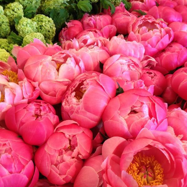 Photo taken at Whole Foods Market by Jessica L. on 5/4/2013