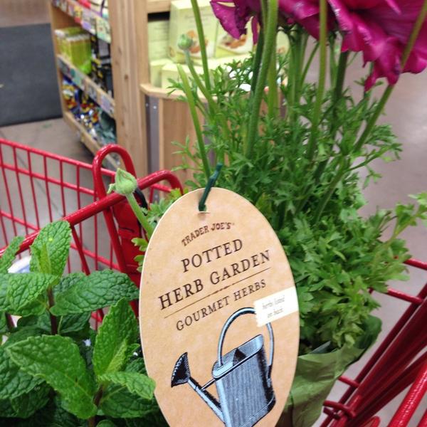 Photo taken at Trader Joe's by Jessica L. on 2/17/2014