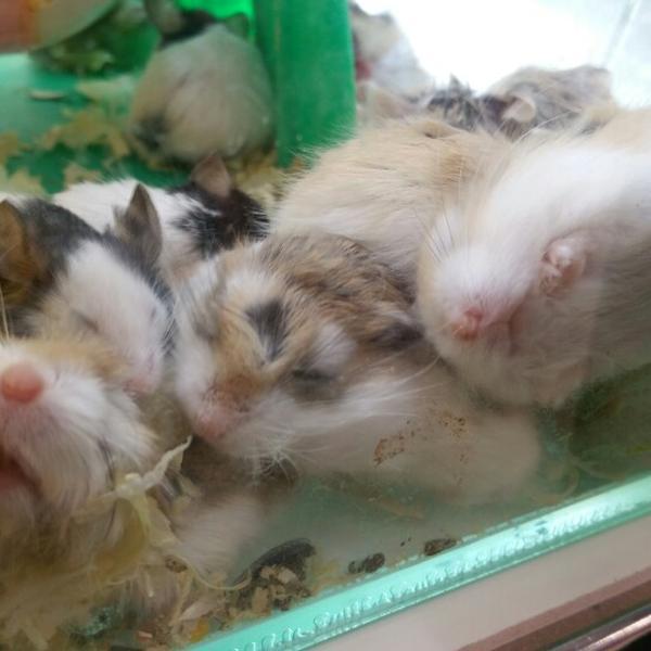 Photo taken at 홈플러스 (Home Plus) by Volodymyr Z. on 8/16/2014-京畿道水原市灵通区1576 Photo taken at 홈플러스 (Home Plus) by Volodymyr Z. on 8/16/2014