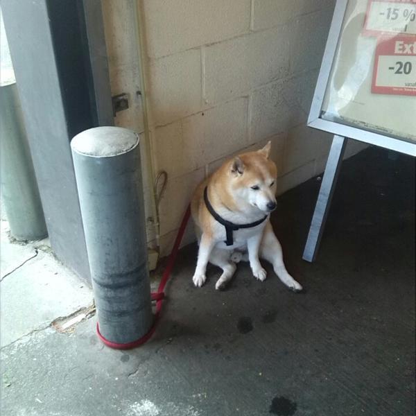 Photo taken at Colruyt by Zoë S. on 9/11/2013