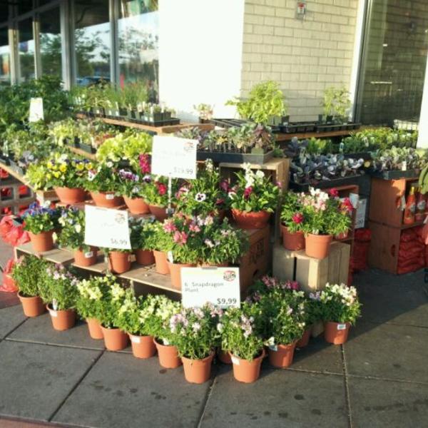 Photo taken at Whole Foods Market by Kristen P. on 4/10/2012