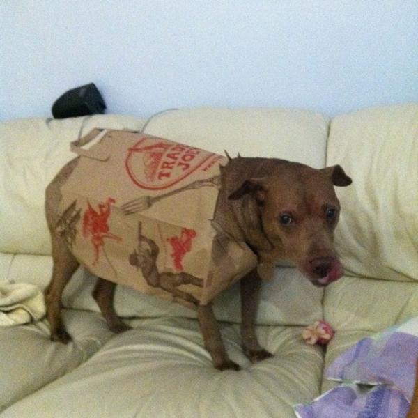 Photo taken at Trader Joe's by Justine B. on 7/19/2013