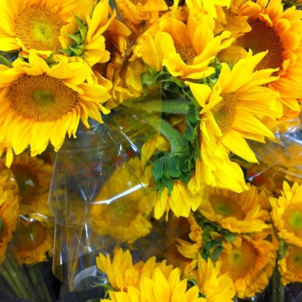 Photo taken at Trader Joe's by Jim K. on 4/30/2012-弗吉尼亚州格伦 - 阿伦褐砂石大道11331 Photo taken at Trader Joe's by Jim K. on 4/30/2012