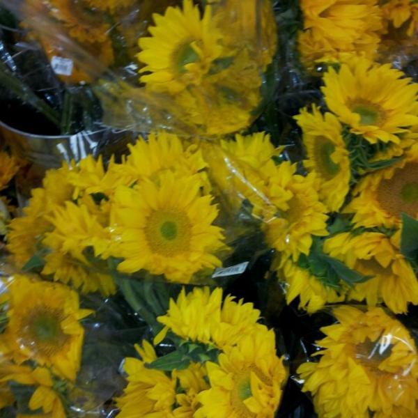 Photo taken at Trader Joe's by Casey on 7/1/2012-佐治亚州亚特兰大梦露博士东北931(在第八街东北) Photo taken at Trader Joe's by Casey on 7/1/2012