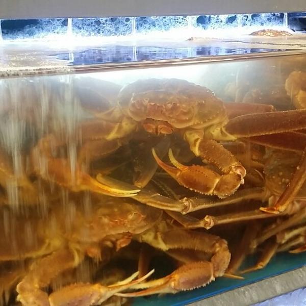 Photo taken at 이마트 (E-Mart) by 대열 김. on 3/14/2015-庆尚南道晋州仁寺洞12号易买得超市 Photo taken at 이마트 (E-Mart) by 대열 김. on 3/14/2015