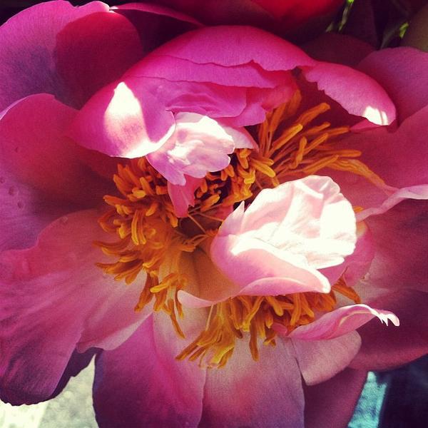 Photo taken at Trader Joe's by gno m. on 5/18/2013-加利福尼亚州长滩贝尔斯登街风铃草大道北2222号 Photo taken at Trader Joe's by gno m. on 5/18/2013