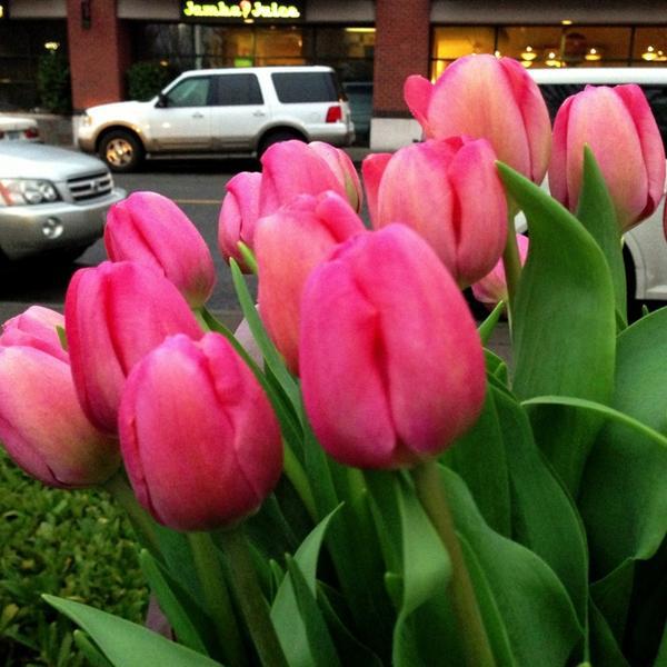 Photo taken at Whole Foods Market by Kate K. on 3/3/2013-美国华盛顿州西雅图第64街东北1026 Photo taken at Whole Foods Market by Kate K. on 3/3/2013