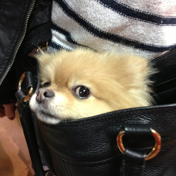 Photo taken at Trader Joe's by Rob S. on 12/18/2012