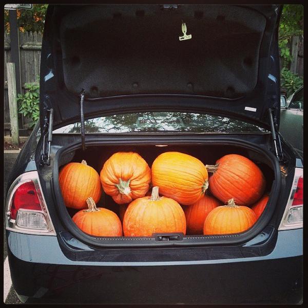 Photo taken at Trader Joe's by Christopher F. on 10/23/2013