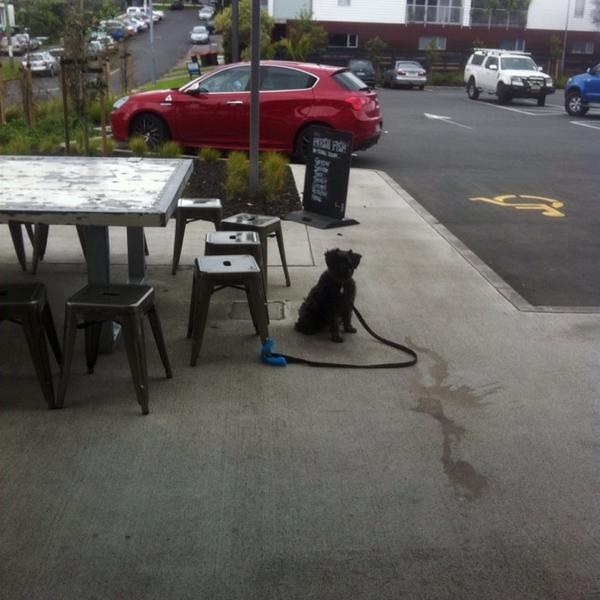 Photo taken at Farro Fresh Food by Jason on 9/4/2013